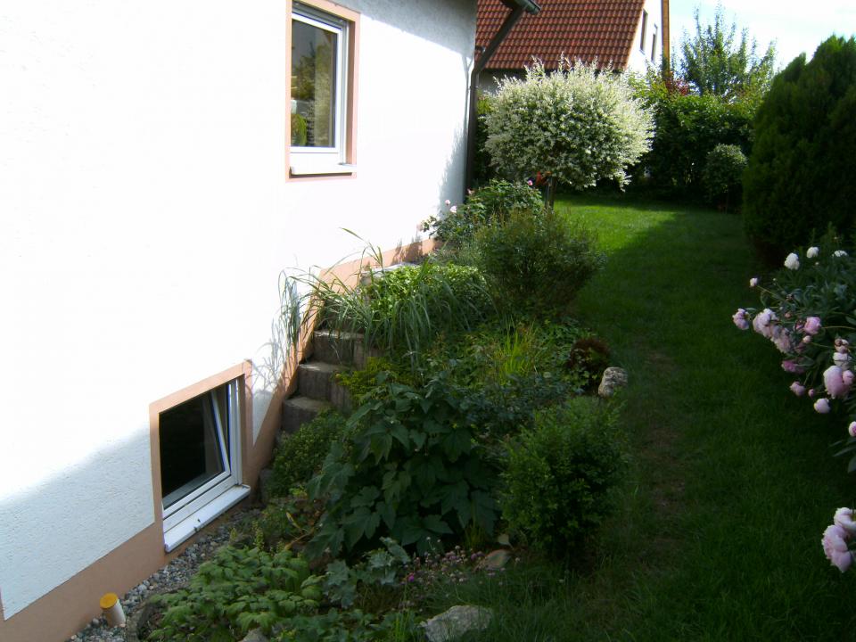 Image 1529742147